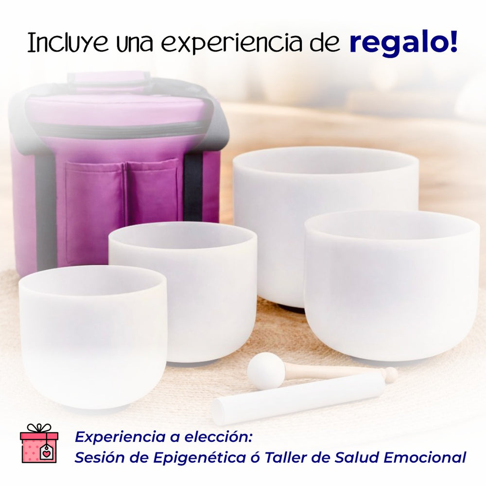 Quantum Bowls™ - Set de 4 - Frosted