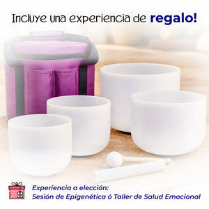 Quantum Bowls™ - Set de 4 - Frosted