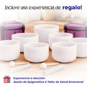 Quantum Bowls™ - Set de 7 - Frosted
