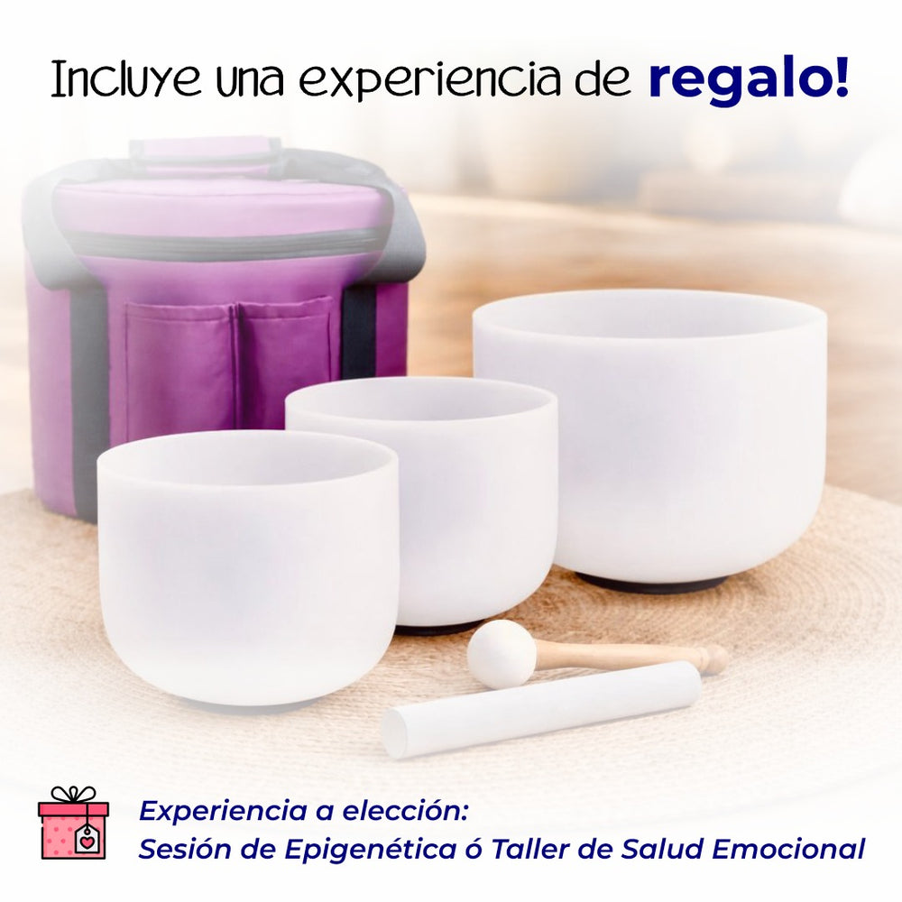 Quantum Bowls™ - Set de 3 - Frosted