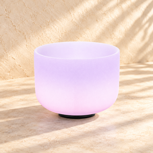 Ambientación digital: Cuenco individual morado y rosa, vista ambientada sobre fondo marfil; no es una fotografía de una sesión real