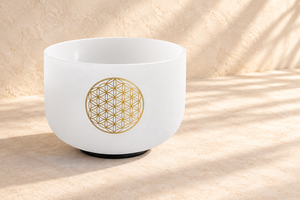 Ambientación digital: Vista de un cuenco blanco con diseño dorado; no es una fotografía de una sesión real